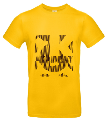 Mockup of Akademy 2021 t-shirt
by Jens Reuterberg